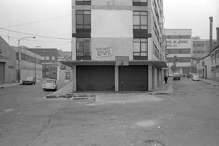 LES PIGEONS DU ZÒCALO