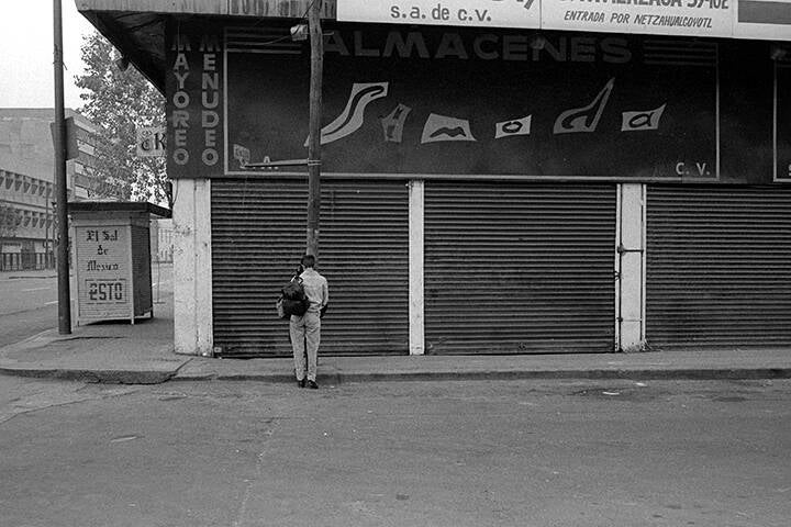 LES PIGEONS DU ZÒCALO