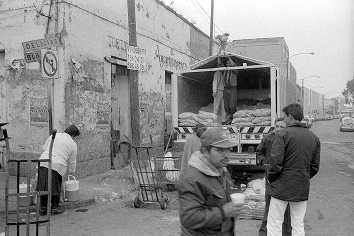 LES PIGEONS DU ZÒCALO