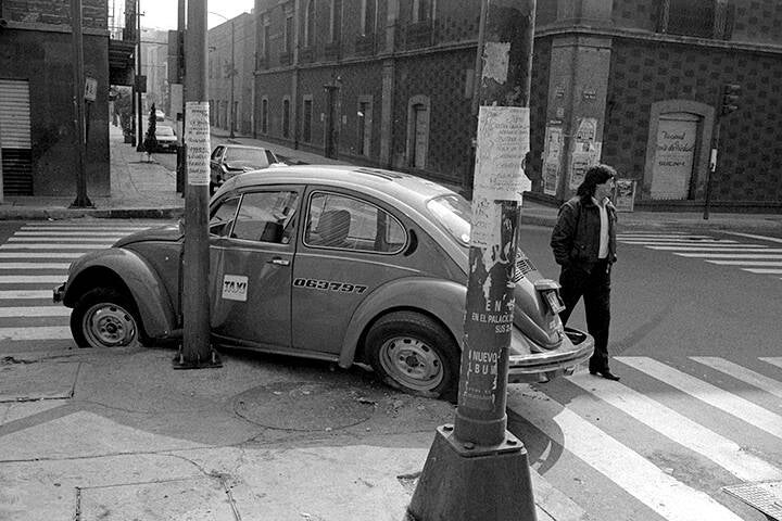 LES PIGEONS DU ZÒCALO