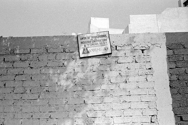 LES PIGEONS DU ZÒCALO