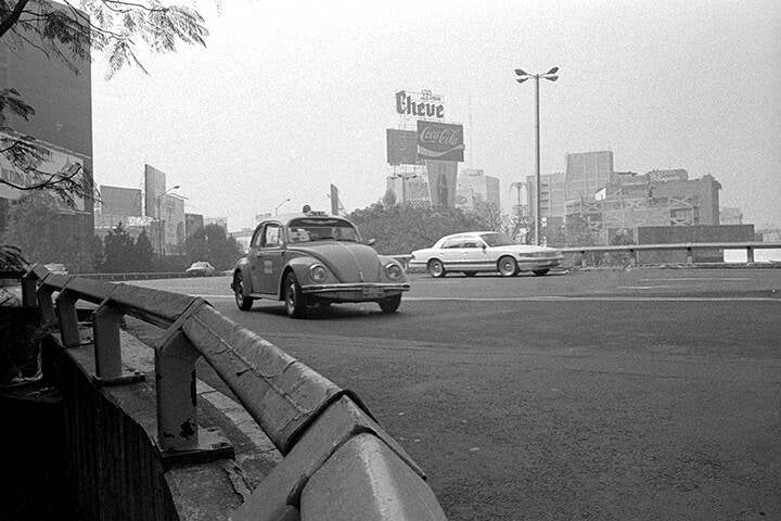 LES PIGEONS DU ZÒCALO