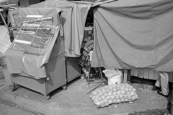 LES PIGEONS DU ZÒCALO
