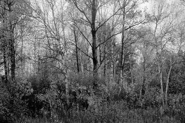 CLOVA, HAMEAU ISOLÉ DE LA HAUTE-MAURICIE AU QUÉBEC.