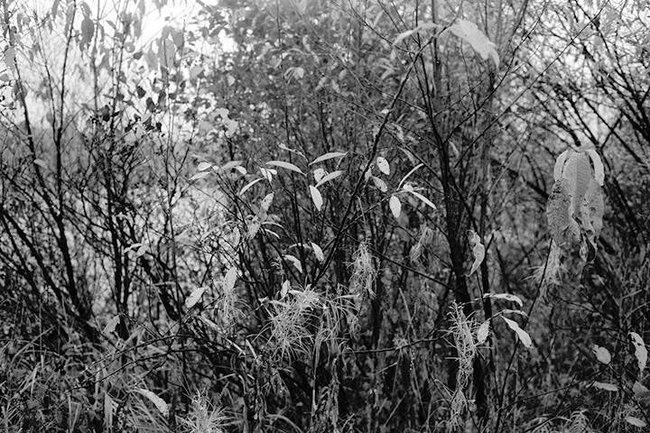 CLOVA, HAMEAU ISOLÉ DE LA HAUTE-MAURICIE AU QUÉBEC.