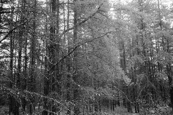 CLOVA, HAMEAU ISOLÉ DE LA HAUTE-MAURICIE AU QUÉBEC.