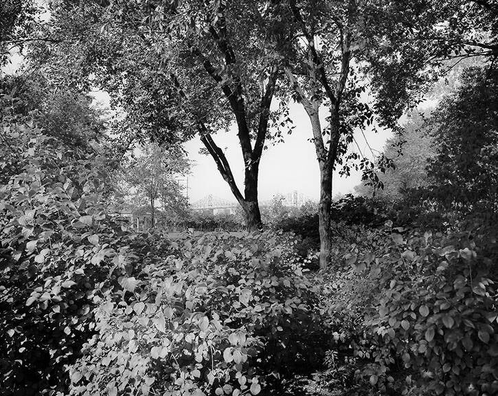 SAINT HELEN'S ISLAND, MONTREAL, 1997.