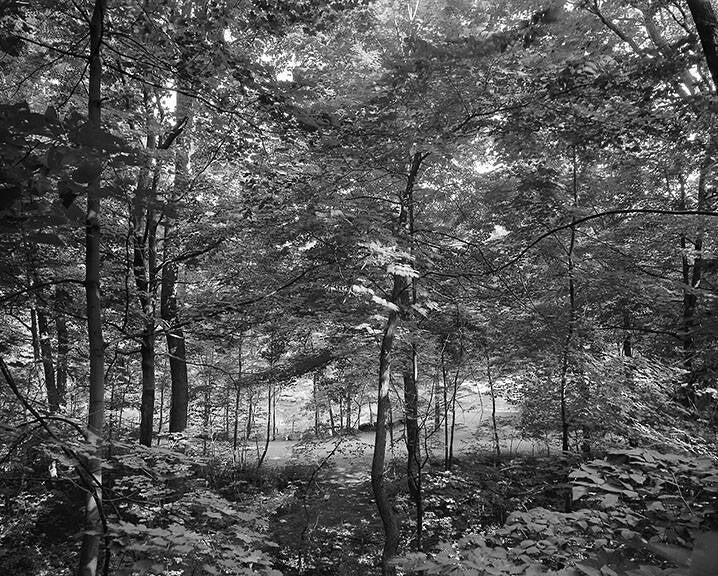 SAINT HELEN'S ISLAND, MONTREAL, 1997.