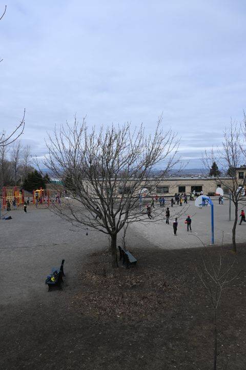 ECOLE JACQUES BERTHIAUME