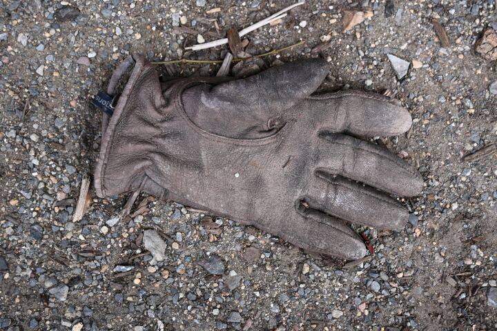 GLOVE