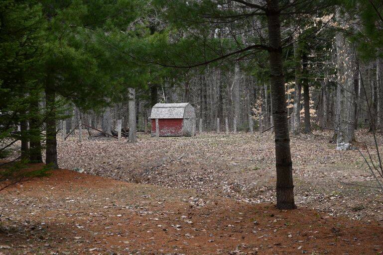 PHOTOGRAPHIE NUMÉRIQUE