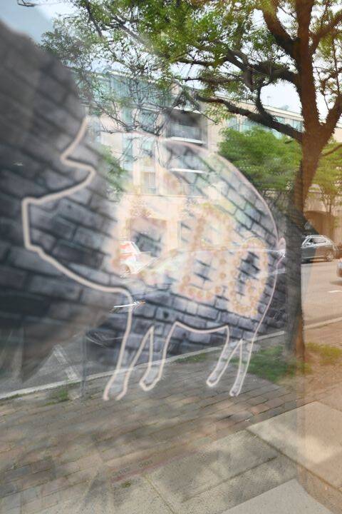 OTTAWA, ON.