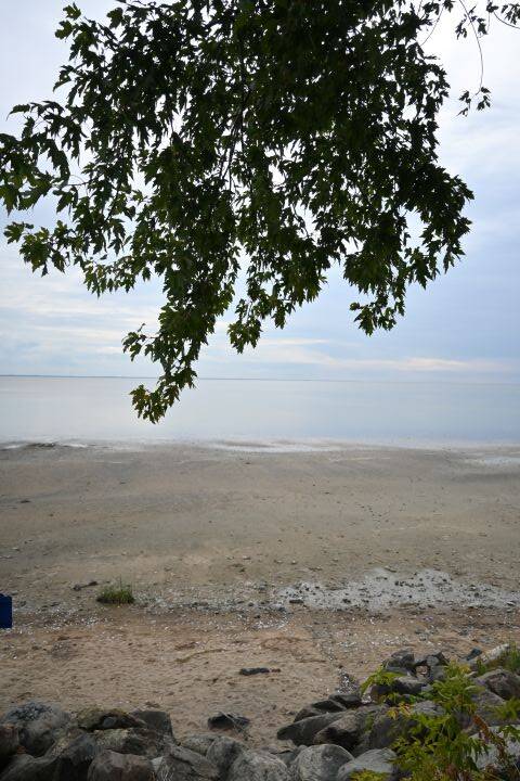FRAGMENT DU LAC ST-PIERRE, TROIS RIVIERES