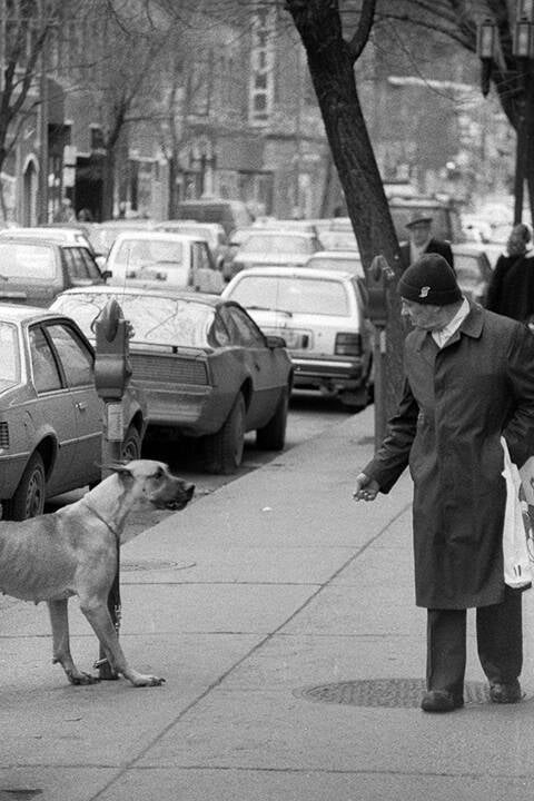 Black & white 35 mm negatives.