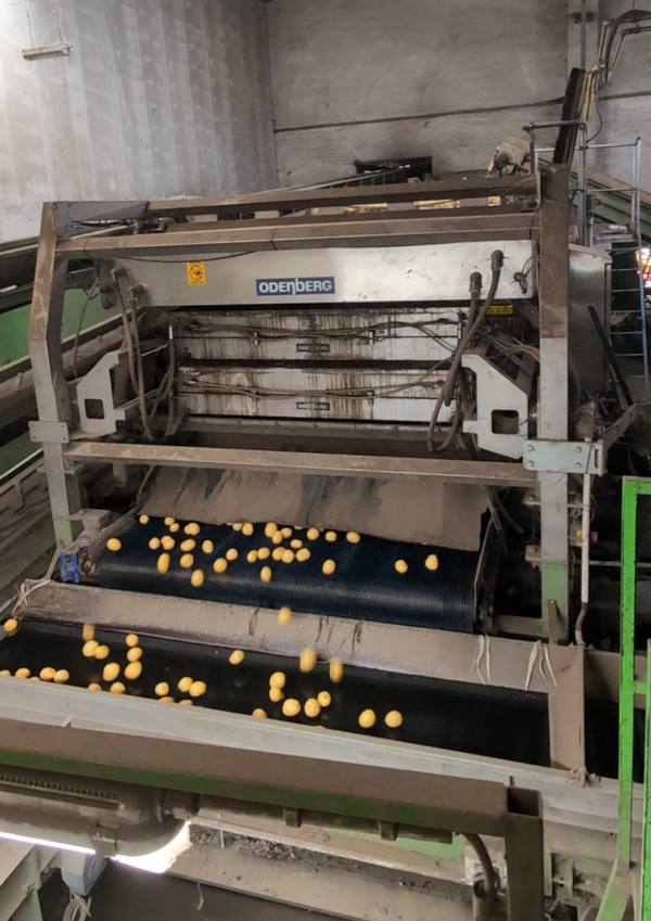 gebrauchte Tomra Halo - optischer Sortierer