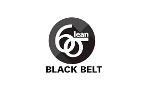 Lean Six Sigma Black Belt logo