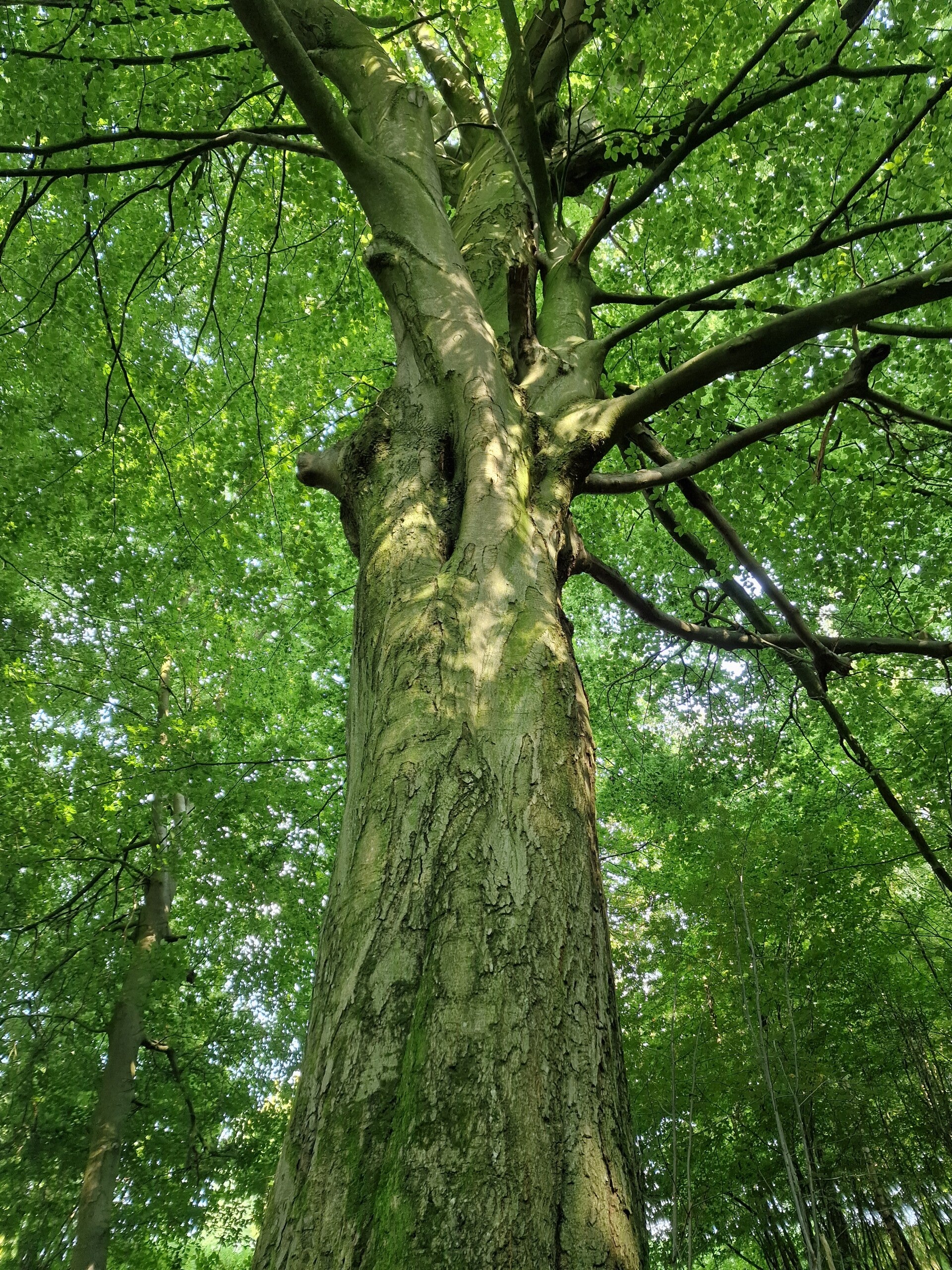 20240726_171227-standard.jpg