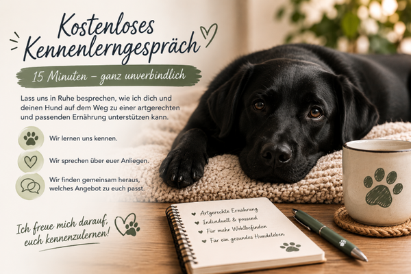 Kostenloses Kennenlerngespräch - 15 Minuten
