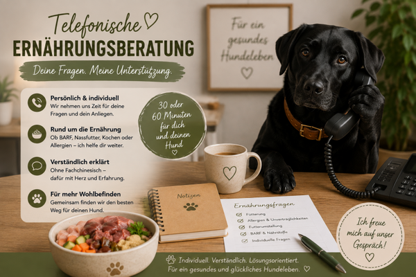 Telefonische Ernährungsberatung- 60 Minuten