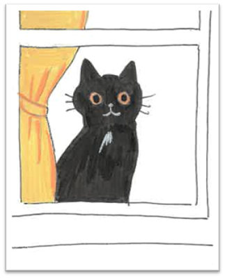 picture10-standard.png