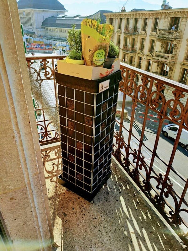 🌿 Miniggies pour balcon - envoi postal en Kit