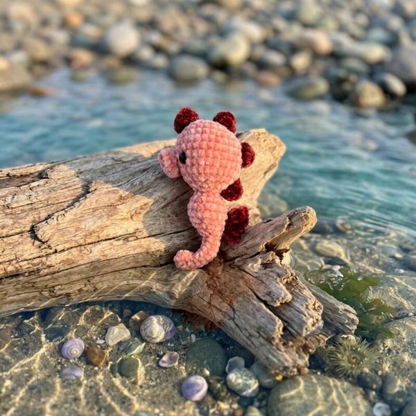 Bubbles — the Sea Horse