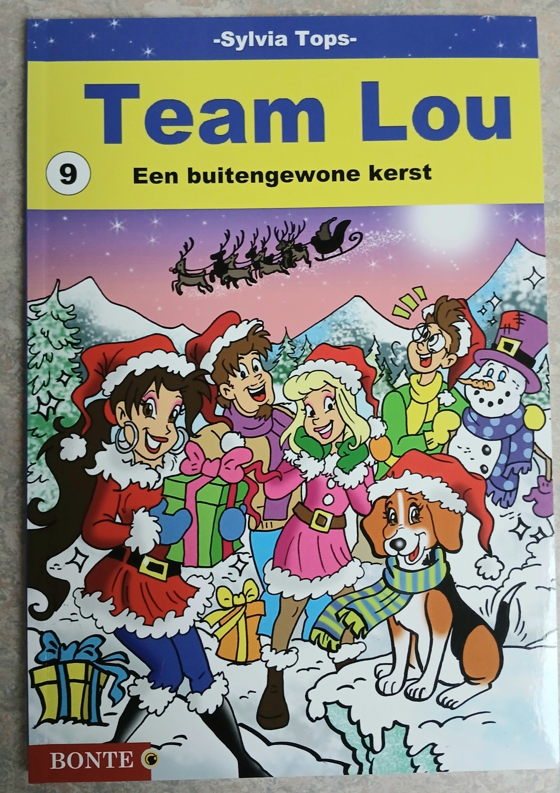 Stripboek Team Lou 9. Een buitengewone kerst