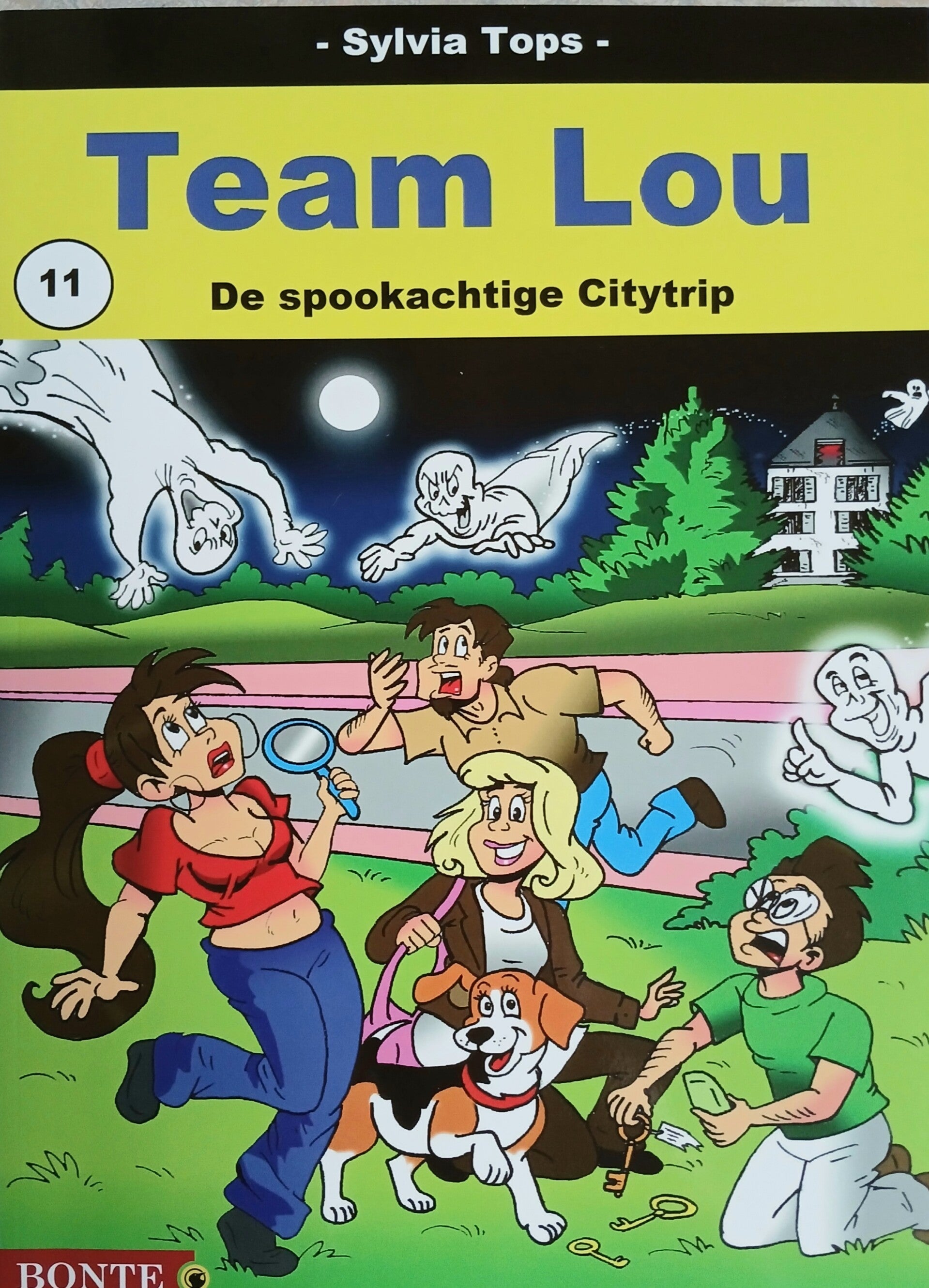 Stripboek Team Lou 11. De spookachtige City-trip