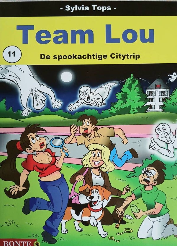 Stripboek Team Lou 11. De spookachtige City-trip