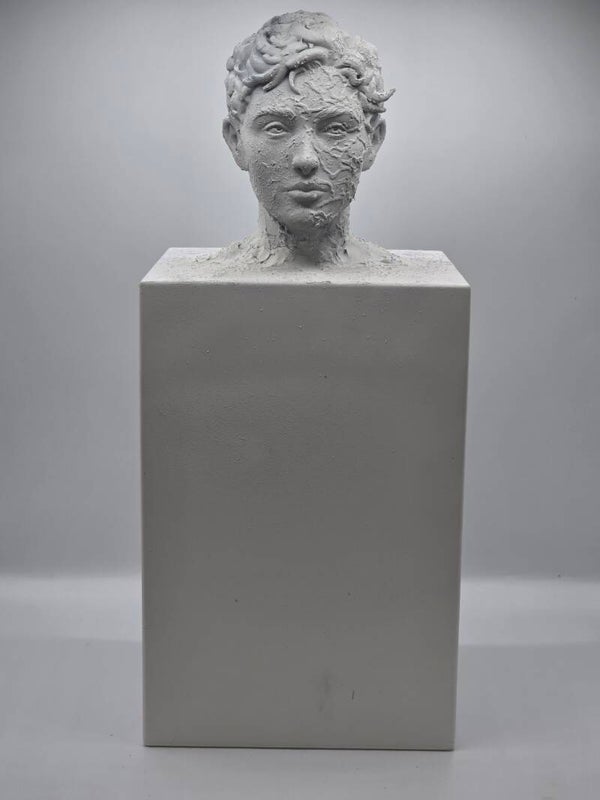 Thomas van loon