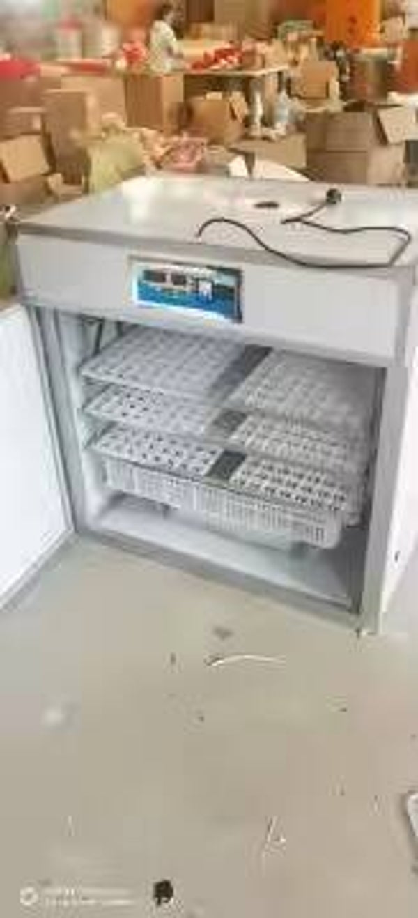 Incubateur éclosoir