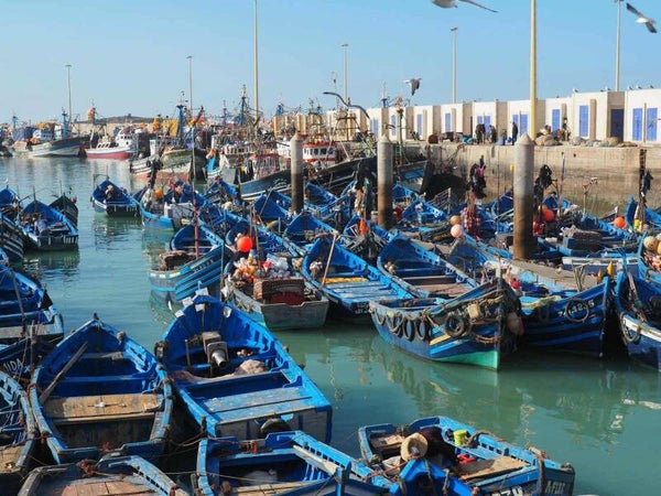 Du 18 au 25 novembre Stage Carnet de voyage à Essaouira. Tarif s voir ci-dessous Acompte de réservation 250€ par chèque