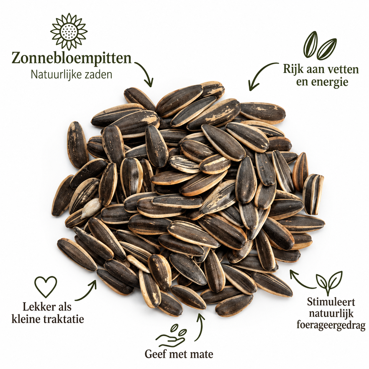 Zonnebloempitten gestreept
