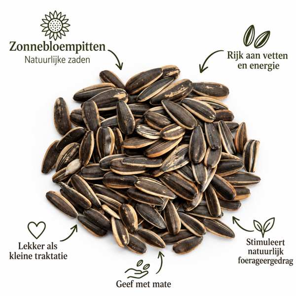 Zonnebloempitten gestreept