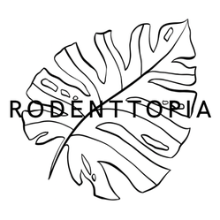 rodenttopia.com rodenttopia.com