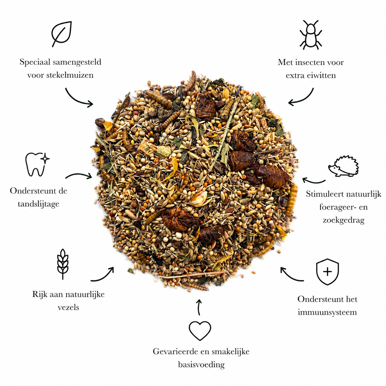 Stekelmuis Mix
