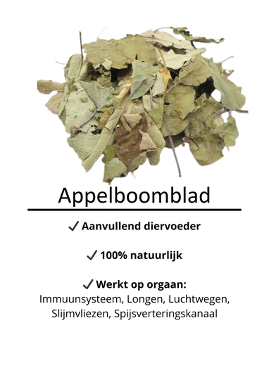 Appelboomblad 🍏