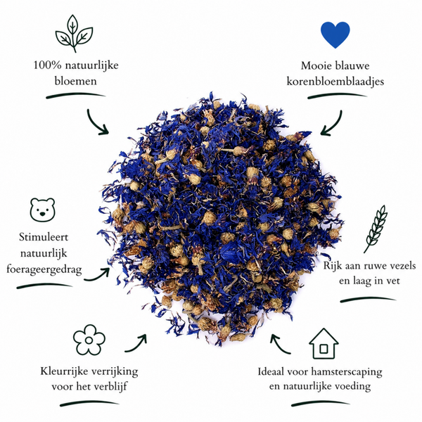 Korenbloem (blauw)