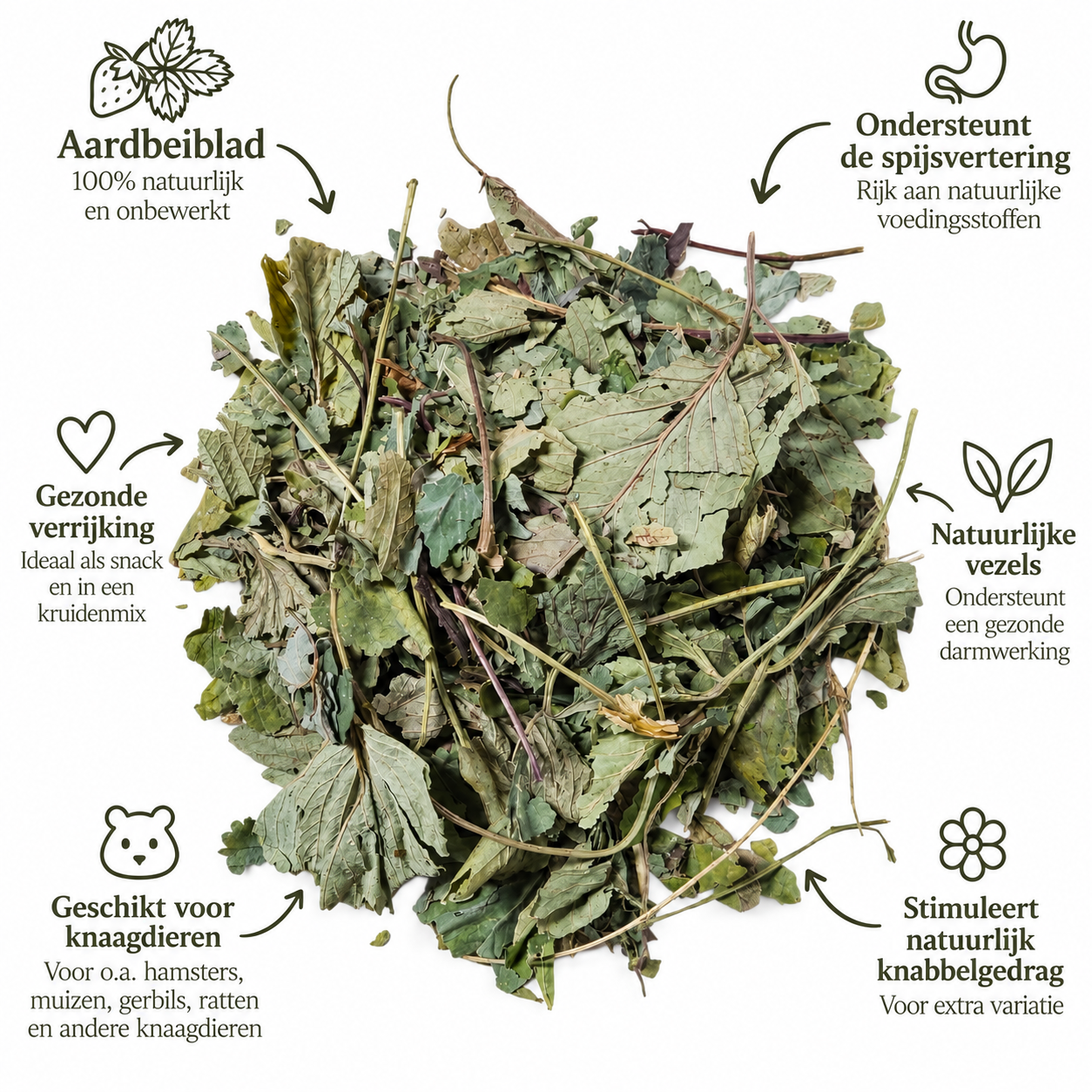 Aardbeiblad