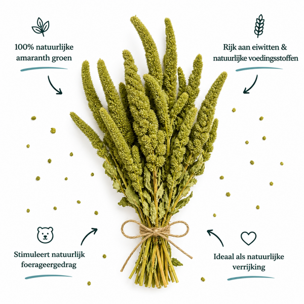 Amaranth groen