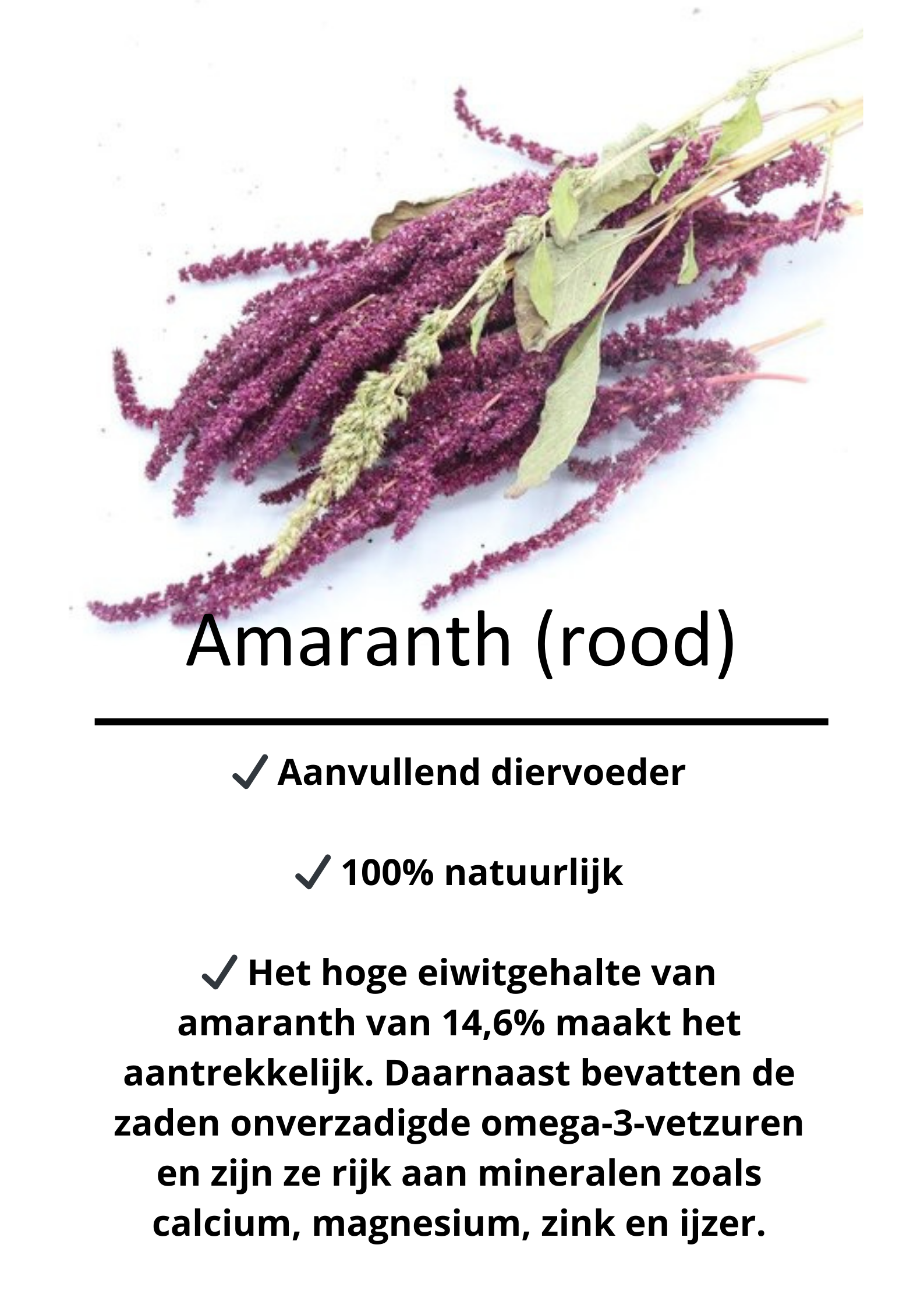 Amaranth rood
