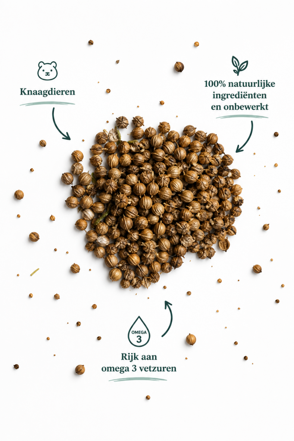 Lijnzaad bolletjes