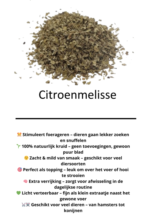 Citroenmelisse