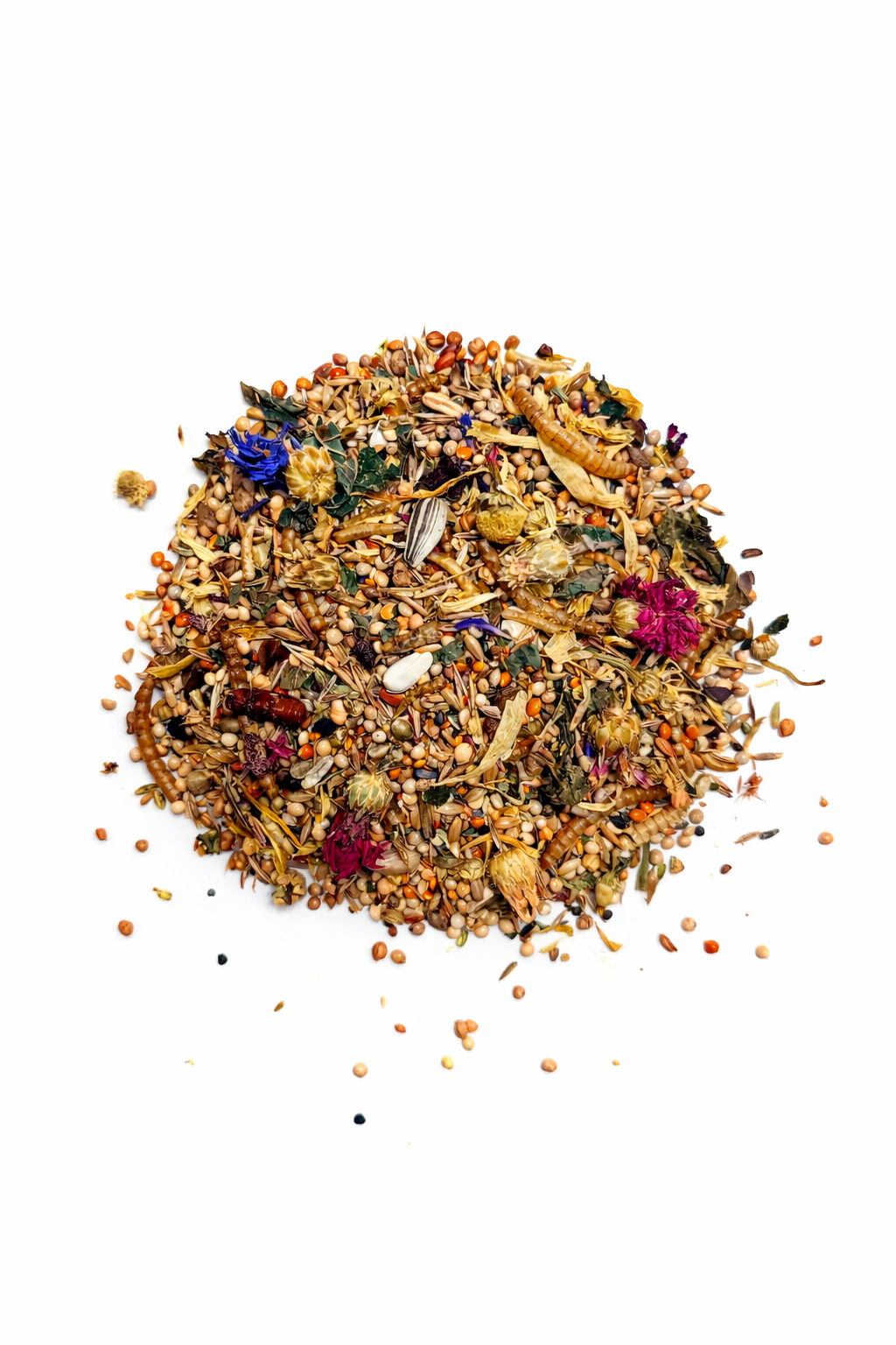 Steppenkracht - Chinese Dwerghamster Mix