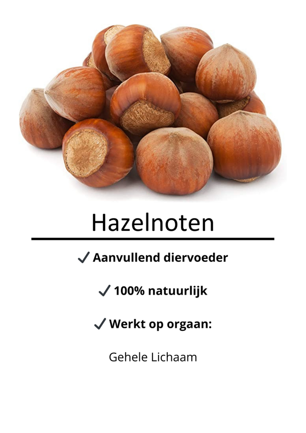Hazelnoten