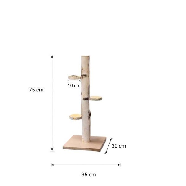 Vogelboom berkenstam