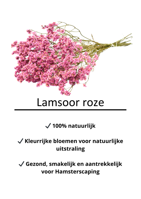 Lamsoor roze