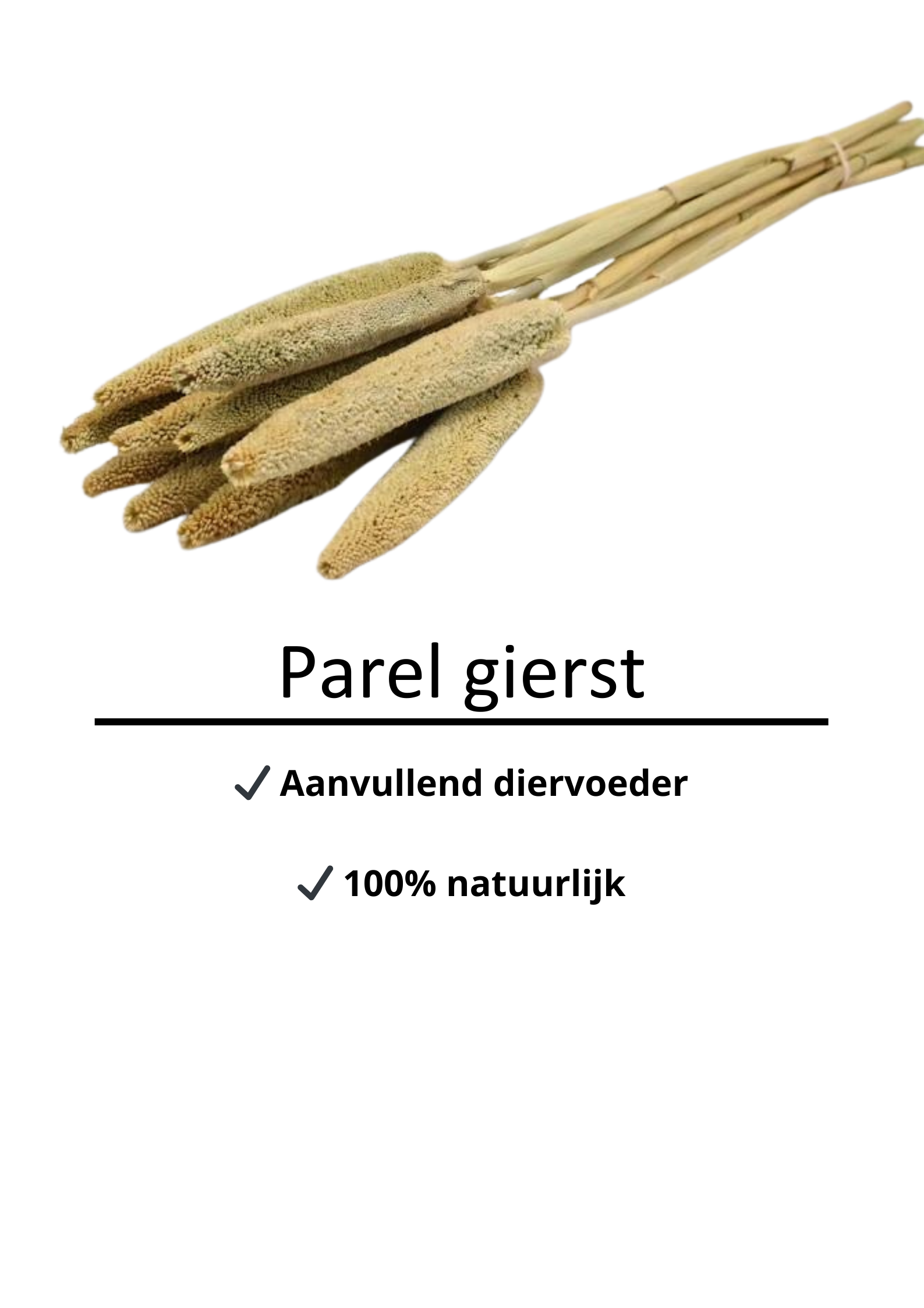 Parel gierst