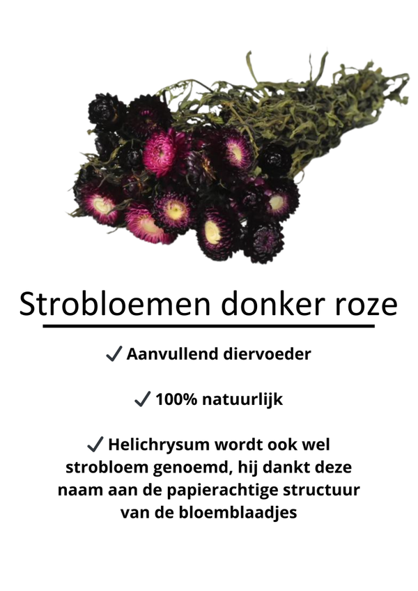 Strobloemen donker roze