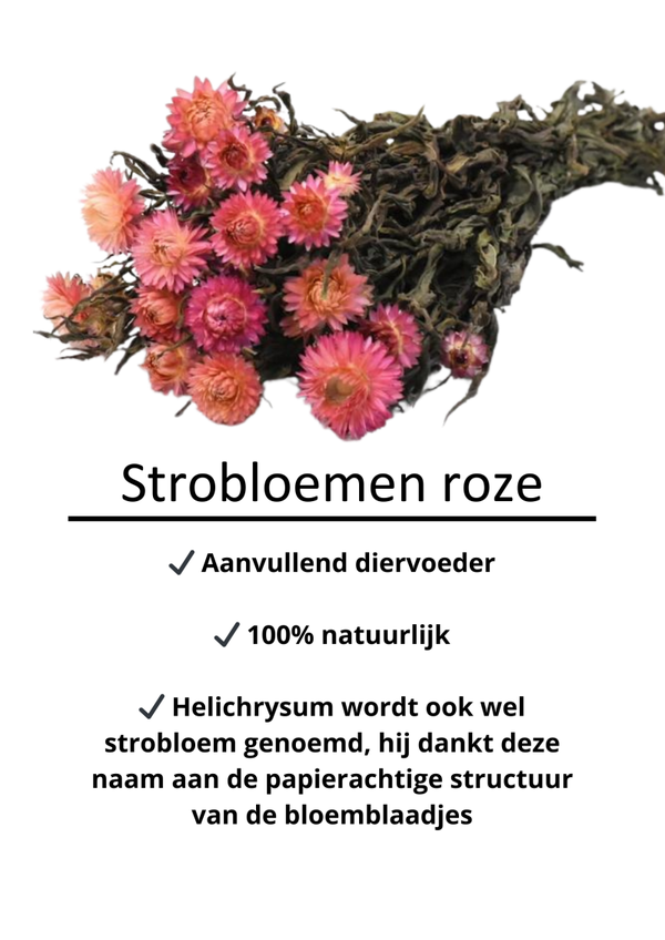 Strobloemen roze